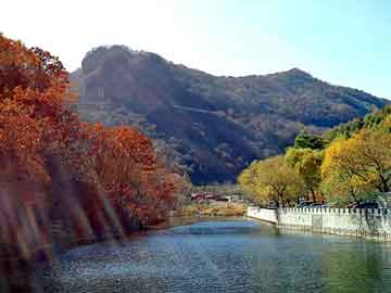 管家婆免费正版资起大全，傲世龙神